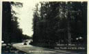 Circuito di Monza  1925