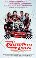 La corsa più pazza d'America - 1981